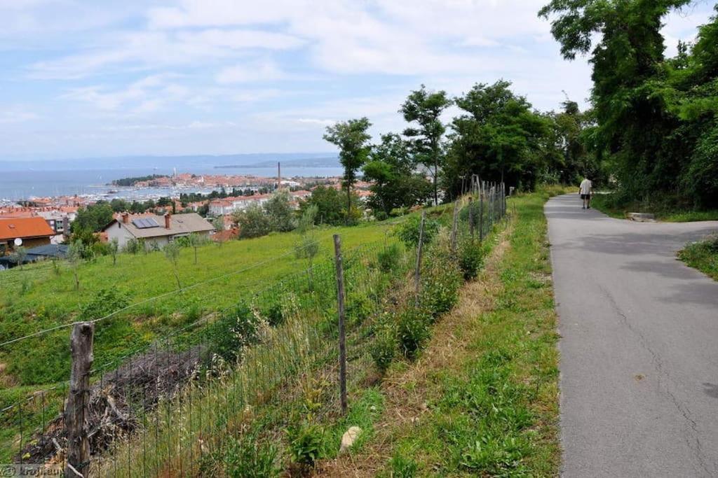 Apartment Izolanka / Great Location / Best Sea And City View Dış mekan fotoğraf